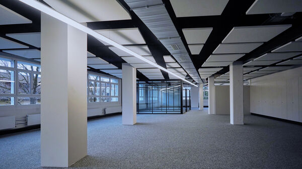 DSC06602 bearbeitet hp