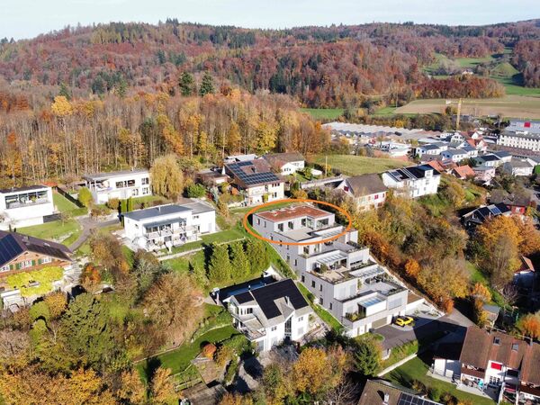 Flugaufnahme mit Herbstwald hp